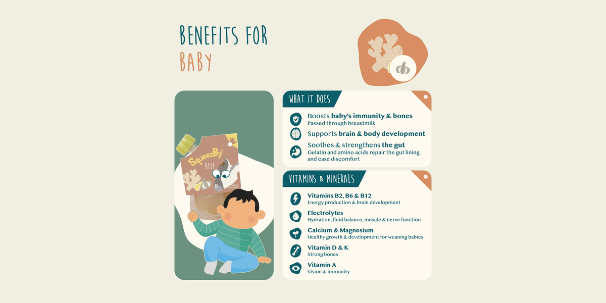 Benefits of Squeezby bone broth for baby: boosts immunity and bones, supports brain and body development, and soothes and strengthens the gut. Provides vitamins B2, B6 and B12, electrolytes, calcium, magnesium, vitamin D, vitamin K and vitamin A.