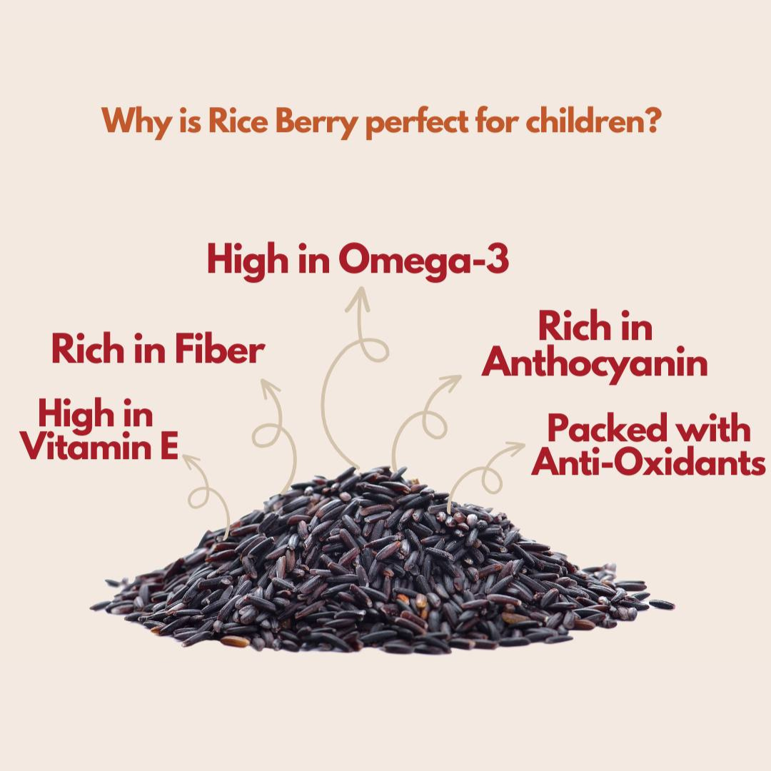Baby Natura Organic Riceberry Puffs