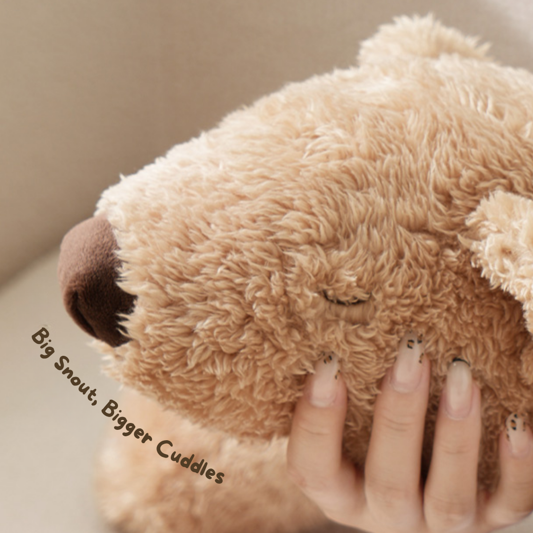 14_8424fa91-f630-4a74-a003-712e6067bee7.png