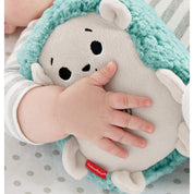 Fisher-Price NB CALMING VIBES HEDGEHOG SOOTHER - WB - Astra Family