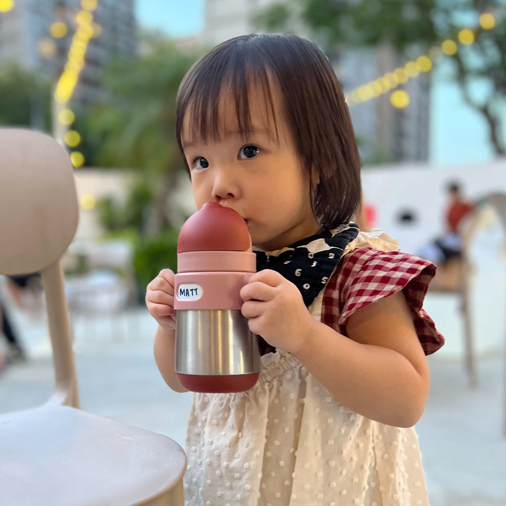 MEROWARE MATT THERMAL STRAW BOTTLE