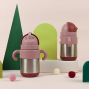 MEROWARE MATT THERMAL STRAW BOTTLE
