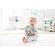 Fisher-Price NB CALMING VIBES HEDGEHOG SOOTHER - WB - Astra Family