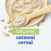 Gerber 1st Foods Organic Oatmeal Single Grain Cereal 227g