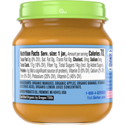 Gerber Organic Mango Apple Banana Glass Jar 113g