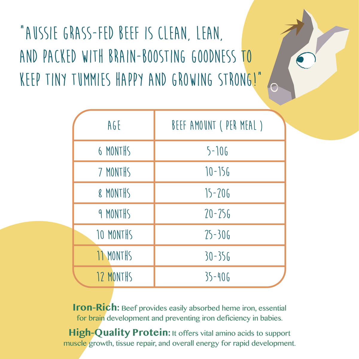 Mini Protein Packs