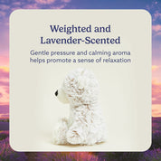 WARMIES Regular Grey Marshmallow Bear