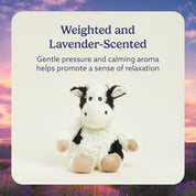 WARMIES Regular Laying Cow