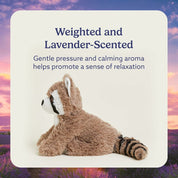 WARMIES Regular Raccoon
