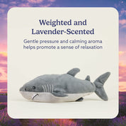 WARMIES Regular Shark