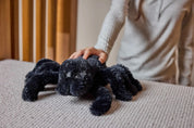 WARMIES Regular Spider