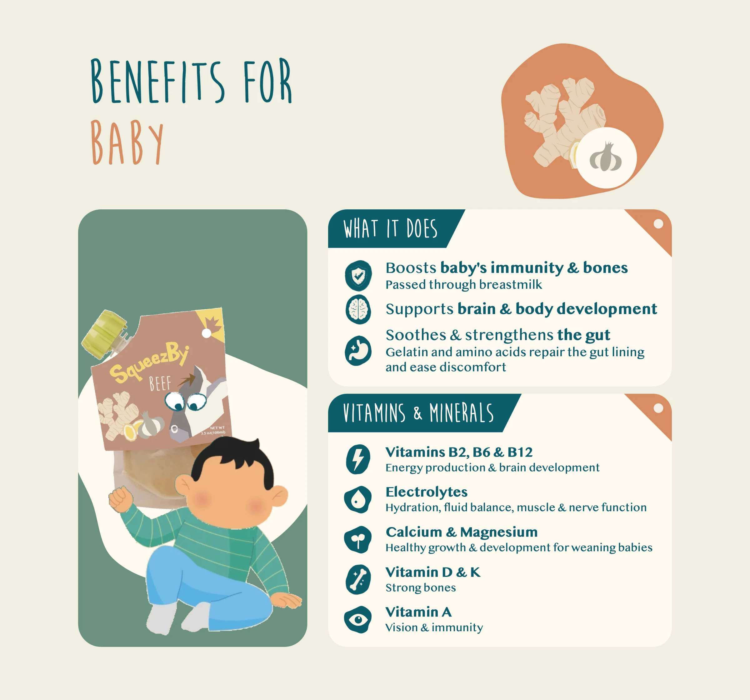 Benefits of Squeezby bone broth for baby: boosts immunity and bones, supports brain and body development, and soothes and strengthens the gut. Provides vitamins B2, B6 and B12, electrolytes, calcium, magnesium, vitamin D, vitamin K and vitamin A.