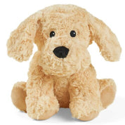 Cockerpoo