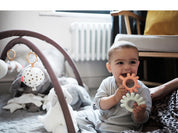 BORRN Animal Teether