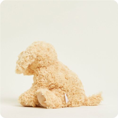 Cockerpoo
