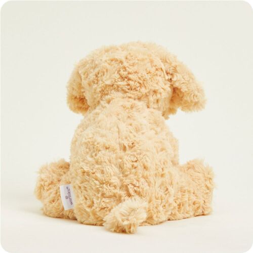 Cockerpoo