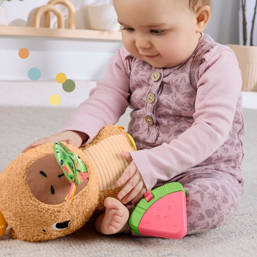 Fisher Price Snuggly Snacky Capybara