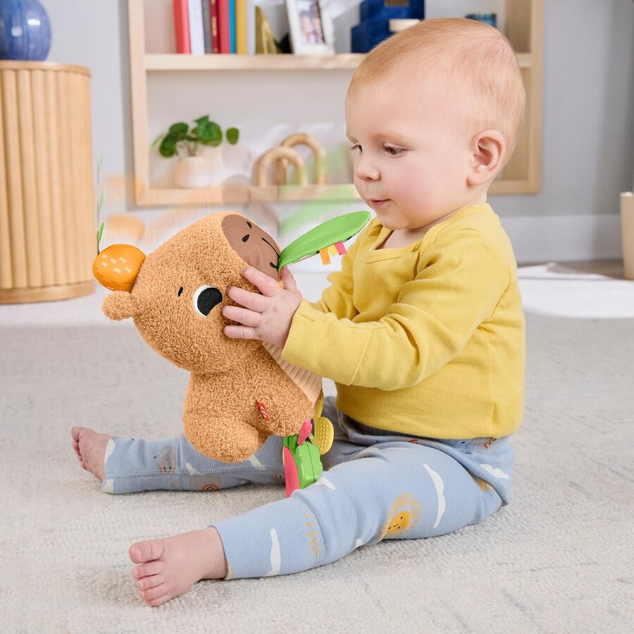 Fisher Price Snuggly Snacky Capybara
