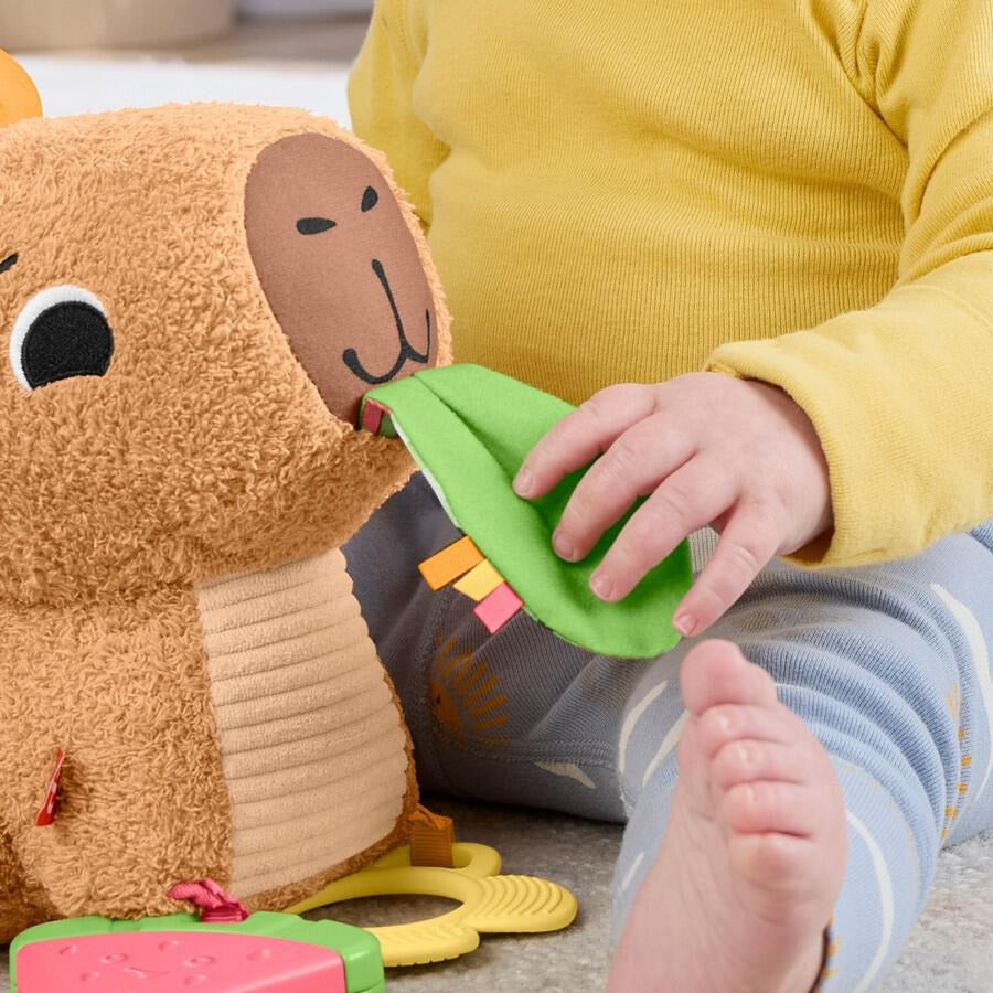 Fisher Price Snuggly Snacky Capybara