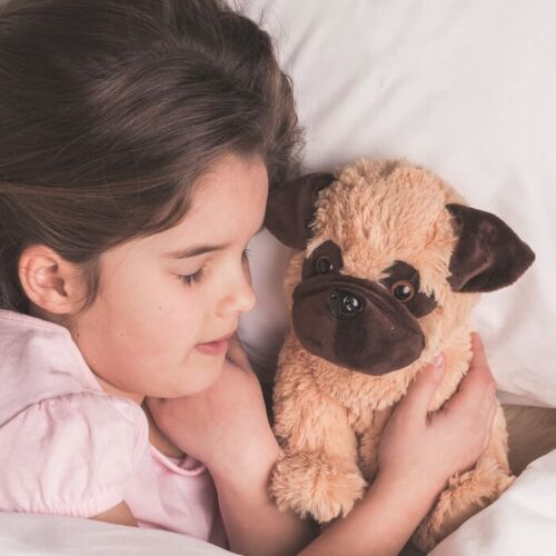 Pug