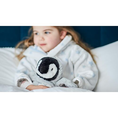 Baby Penguin