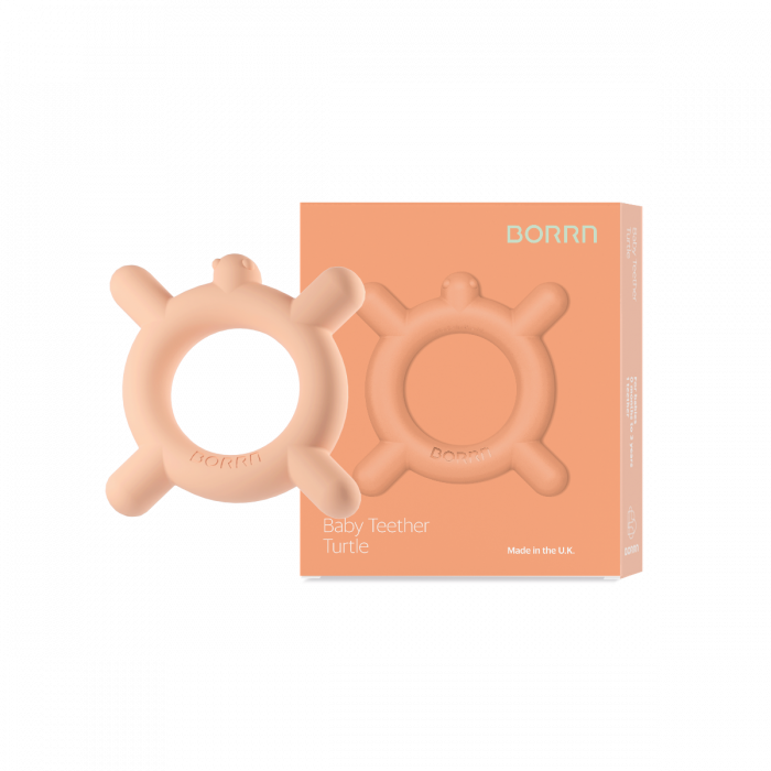 turtle_orange.png