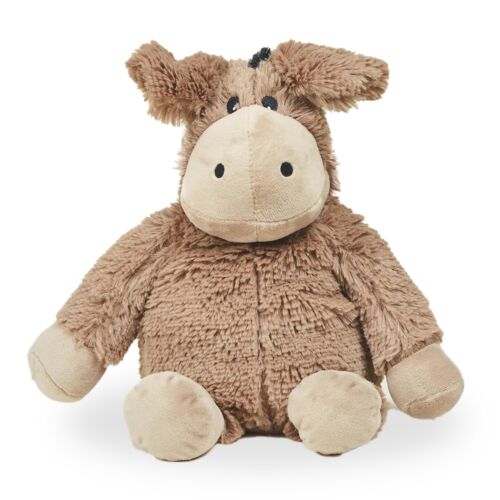 Donkey