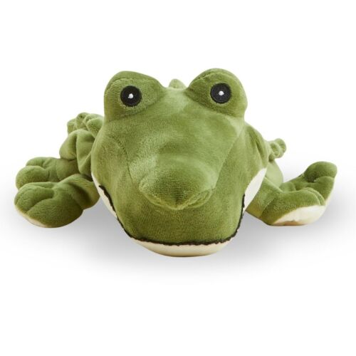 Alligator