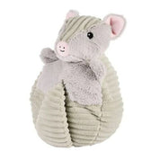 Armadillo