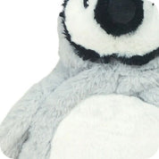 Baby Penguin