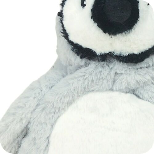 Baby Penguin