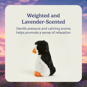 Baby Penguin