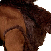 Beaver