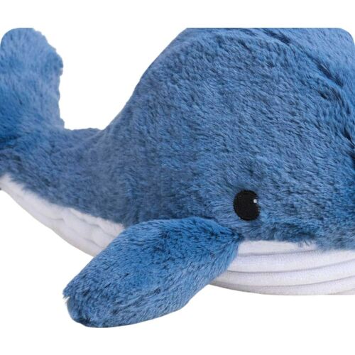 Blue Whale