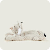 Bobcat