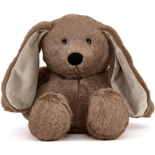 Brown Bunny