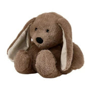 Brown Bunny