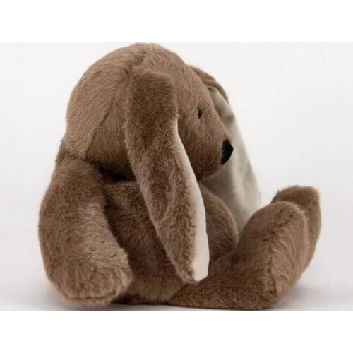 Brown Bunny