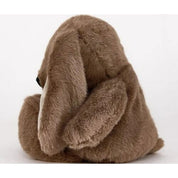 Brown Bunny
