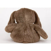 Brown Bunny