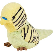 Budgie