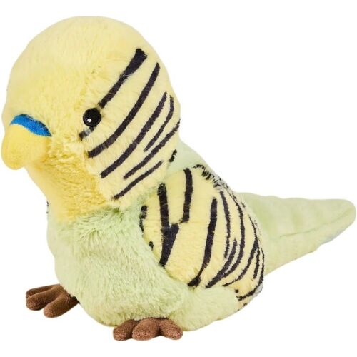 Budgie