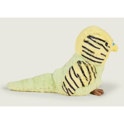 Budgie