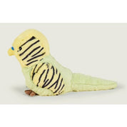 Budgie