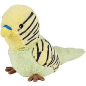 Budgie