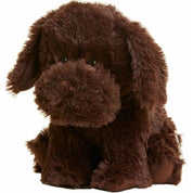 Chocolate Labrador
