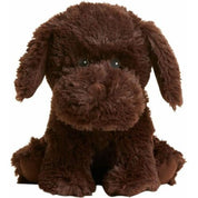 Chocolate Labrador