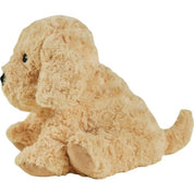 Cockapoo