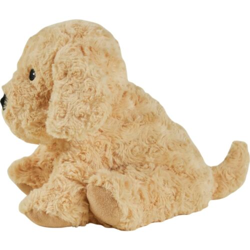 Cockapoo