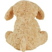 Cockapoo